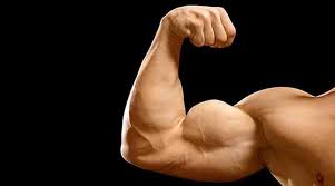 Asitis Whey Protein- Best Supplement For Muscle Growth